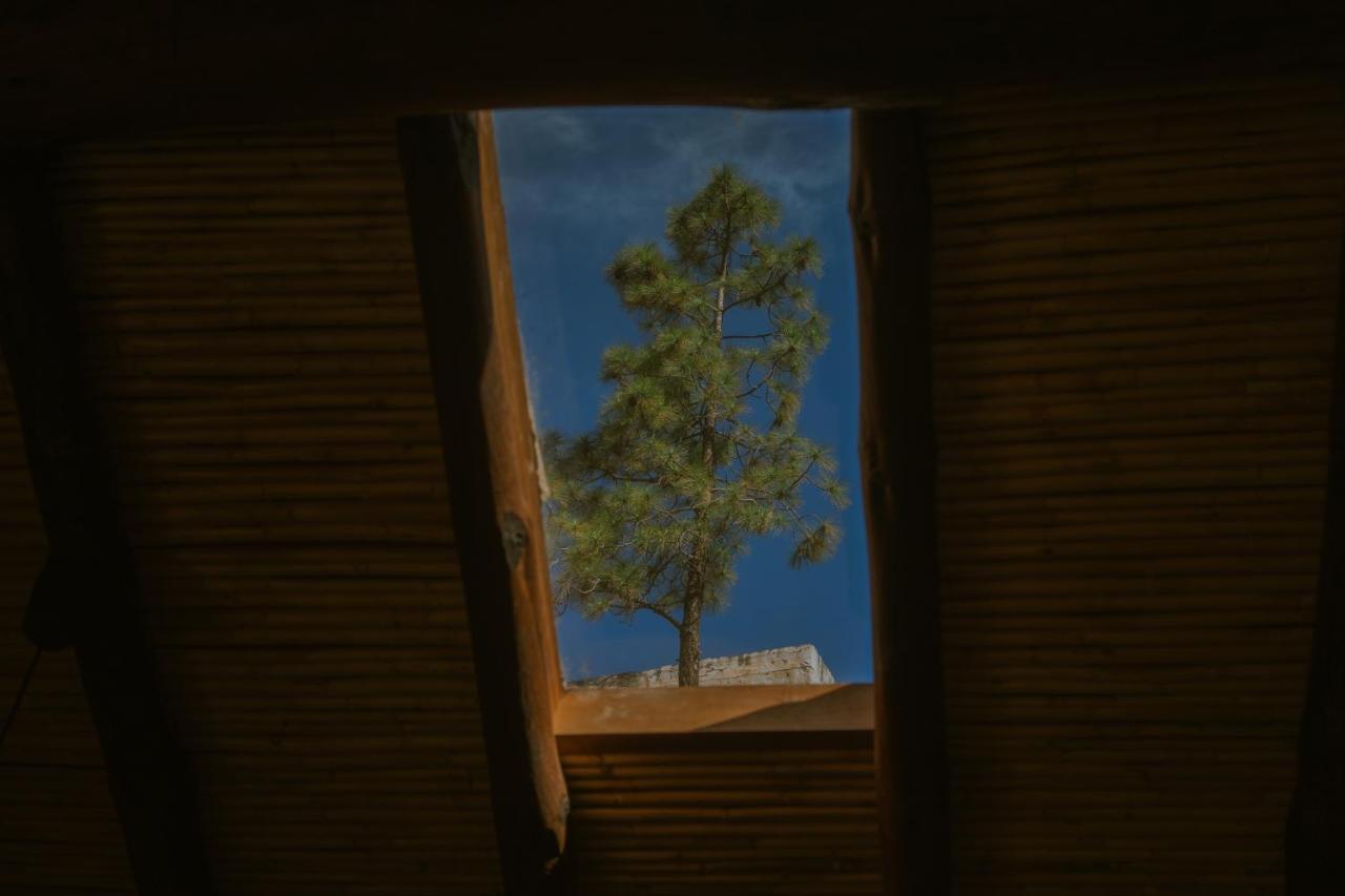 טחדה Casa Rural Lomito Del Pino מראה חיצוני תמונה