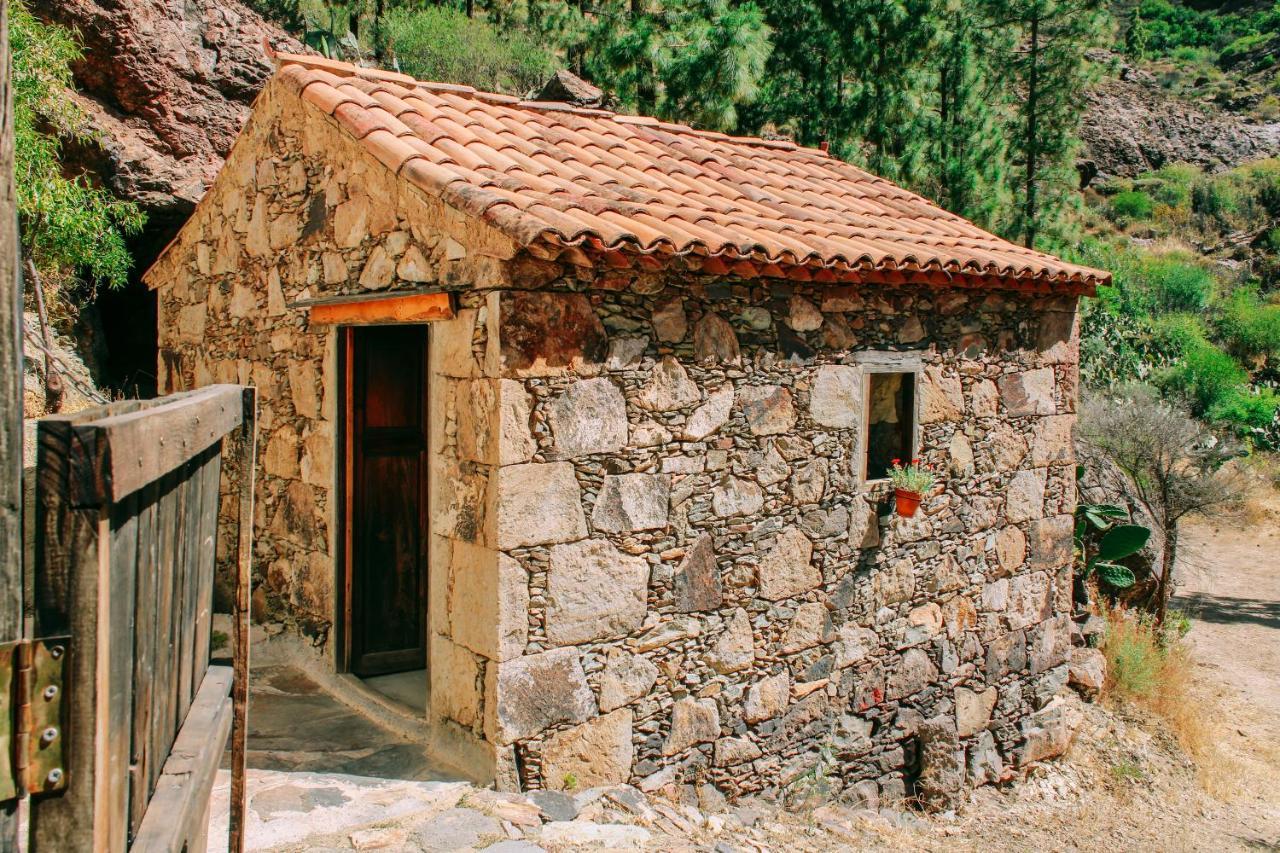 טחדה Casa Rural Lomito Del Pino מראה חיצוני תמונה